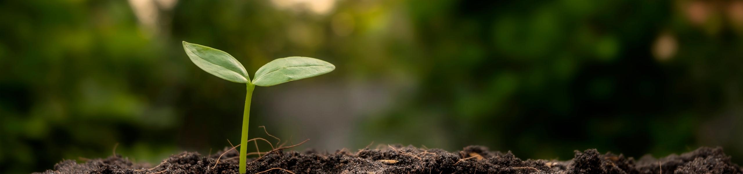 At FI Group, we believe that sustainable growth goes beyond business, it’s about caring for the planet and its people